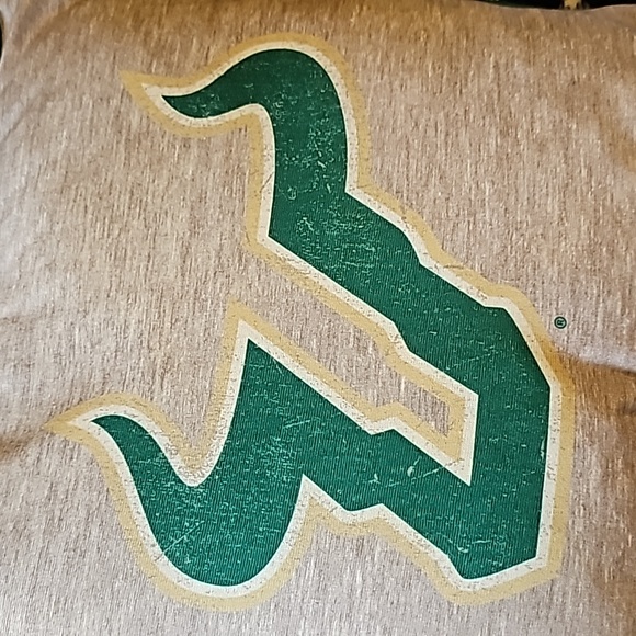 USF decorative pillow - Picture 2 of 6